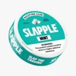 Chicles De Nicotina Slapple - Elige Tu Sabor - Image 2