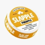 Chicles De Nicotina Slapple - Elige Tu Sabor - Image 4