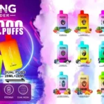 Bang 32.000 Puff 2 en 1 – Elige Tu Sabor