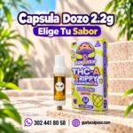 Capsula Dozo 2.2g – Elige Tu Sabor
