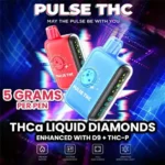 Pulse X 5g– Vape Desechable