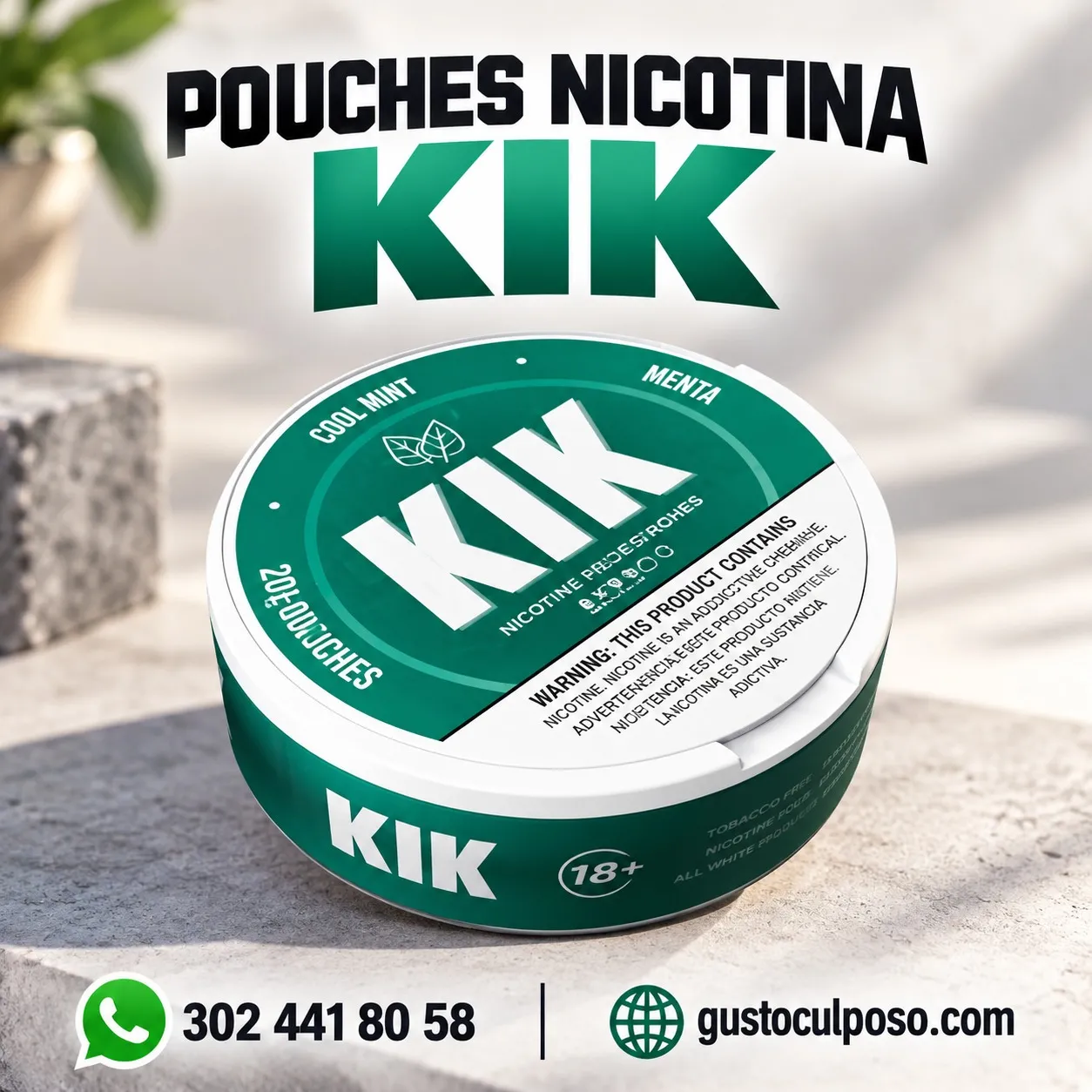 1788617229045_1788617222944_1788617221972 Pouches nicotina Kik - Image 1