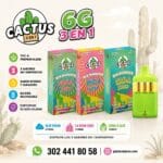 Cactus 6g 3 en 1 - Vape Desechable