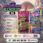 Mushroom Extracts 9g - Vape Desechable